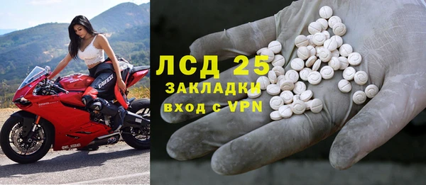 PSILOCYBIN Аркадак