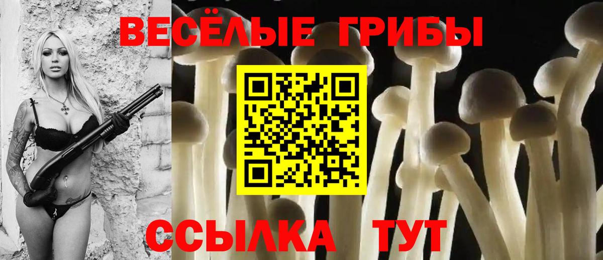 Галлюциногенные грибы мухоморы  Вход с VPN  Междуреченск 