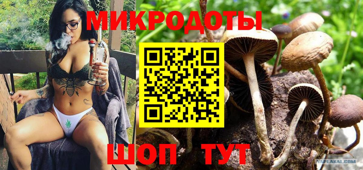 Галлюциногенные грибы ЛСД Междуреченск
